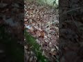 petite sortie Rzr , 170 ￼