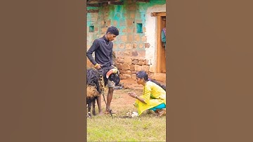 ಕಾಯುವೆ ನಾನು ರೆಪ್ಪೆಯ ಹಾಗೆ ಜನುಮ ಪೂರ ನಿನ್ನನೇ 🐏💪🏻