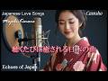極上の美しい歌声が雅な世界へ誘う日本の音｜聴くたびに癒される日本の曲｜耳で感じる日本の雅｜情歌｜演歌