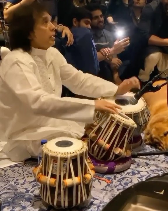 Ustad Zakir Hussain New Tabla Video #shorts