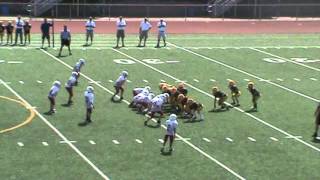 Norwin Rams