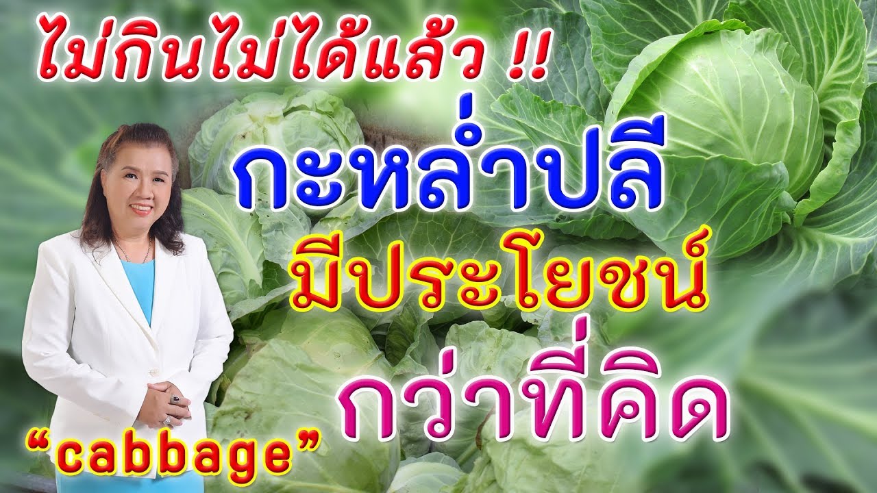 ไม่กินไม่ได้แล้ว !! กะหล่ำปลี มีประโยชน์กว่าที่คิด ห้ามพลาด | cabbage | พี่ปลา Healthy Fish