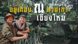 ที่พักติดริมธาร อยู่เถื่อน ณ สวนเกาะ , เชียงใหม่ |ไอ้จ้อย