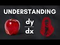 All about dydx part 1  understanding calculus math physics iit prathampengoria jeesimplified