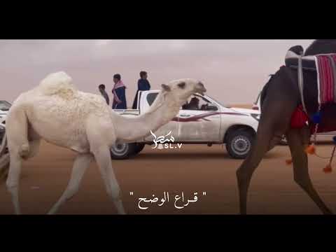 جديد قراع الوضح الحاصل على المركز الاول لـ عبدالله بن محمد الدوسري