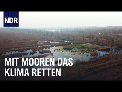 neuneinhalb Lexikon: Moor |  WDR