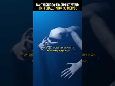 Нингены, монстры из Антарктиды #тайны #невероятныефакты #аномалии