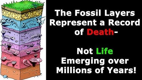 The Fossil Record - Millions of Years of Evolution or Noah