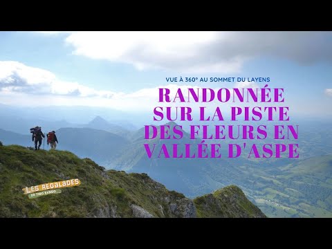 Vidéo: Quelle est la hauteur du mont Tamalpais ?