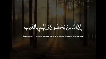 ✓ من سورة الملك ✨ الآيات [ 14-12] بصوت القارئ هاني الرفاعي || حالات واتس اب دينية .. 🥀