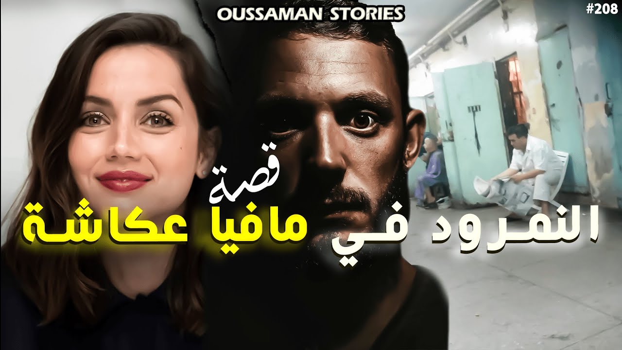 قصة النمرود في مافيا عكاشة | كاملة - 208