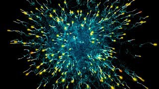 New Way Blasting Particles Animation In Black Screen