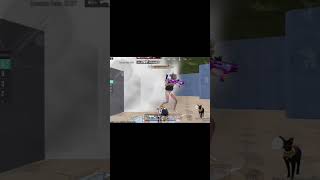 #flyxo