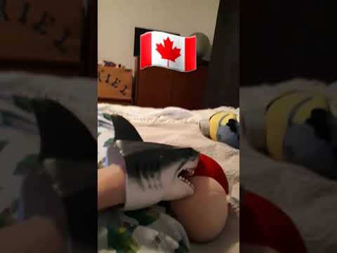 Shark Puppet Eats Canadian Mushroom 
