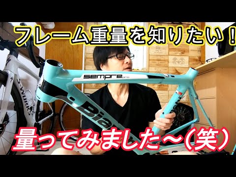 パンターニ ビアンキ フロントフォーク カーボン Mega Pro