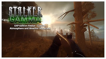 Stalker GAMMA EXP Edition Redux - Arsenal - Custom - Rotten Life / ALT Asphalt / COAR RTX Reshade