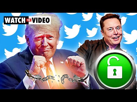 Elon Musk says he would reverse Donald Trump’s Twitter ban