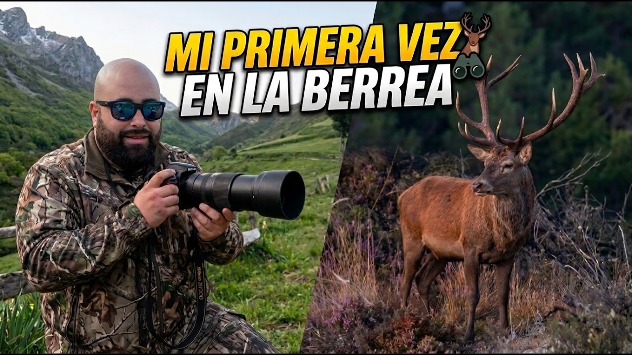 BUSCANDO LA BERREA DEL CIERVO EN CAMPER🦌| Mi primera vez viviendo este espectáculo natural en camper