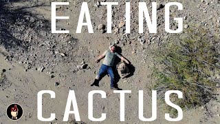 I Made French Fries Out Of A Cactus | Eating Cactus