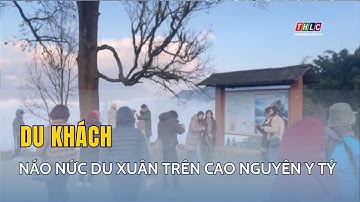 Du khách náo nức du xuân trên cao nguyên Y Tý| THLC