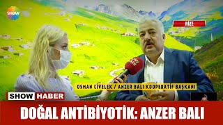 Doğal antibiyotik: Anzer Balı Resimi