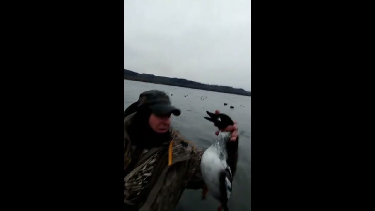 Duck Hunt Upper Mississippi River YouTube
