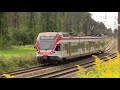 [БЧ] Электропоезд ЭПг-002 / [BCh] Stadler EPg-002 EMU