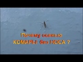 Почему осенью КОМАРЫ без НОСА ?