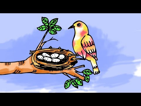 Video: Hoe Teken Je Een Vogelhuisje