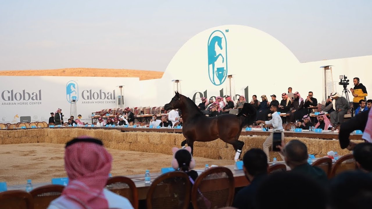 𝘼 𝙨𝙪𝙘𝙘𝙚𝙨𝙨𝙛𝙪𝙡 𝙖𝙪𝙘𝙩𝙞𝙤𝙣 𝙛𝙤𝙧 𝙂𝙡𝙤𝙗𝙖𝙡 𝙏𝙧𝙖𝙞𝙣𝙞𝙣𝙜 𝘾𝙚𝙣𝙩𝙚𝙧. ✨