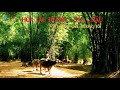 Relax Music | Hòa tấu Đàn Tranh - Sáo - Bầu Việt Nam Quê Hương Tôi