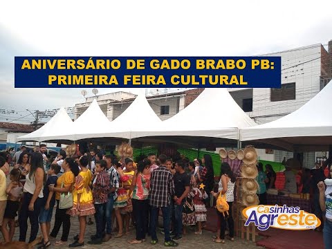 28 ANOS DE GADO BRAVO PB : I FEIRA CULTURAL