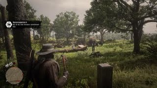 Red Dead Redemption 2 80 foot tomahawk kill