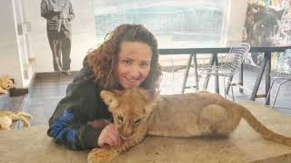 Black Jaguar White Tiger Foundation