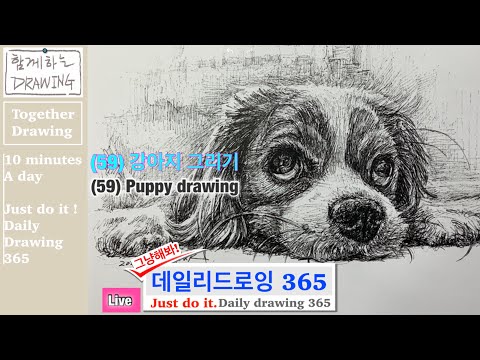 그냥해봐 데일리 드로잉 (live)  daily drawing 365 (59) 강아지 그리기 puppy drawing 펜화 펜드로잉 취미미술 함께하는드로잉 샴박