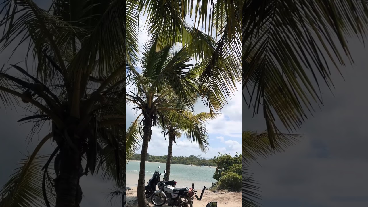 Leaping into the palm trees #reels #video #youtube #nice #kitesurfing #viralvideo #lifestyle #life
