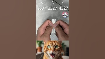 Can You Outsmart the Cat? 🐱 Guess the Hidden Number Challenge! #catreaction #shorts