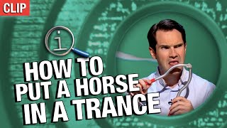 How To Put A Horse In A Trance | QI