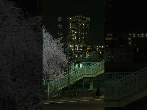 電影《四月，她將到來。》如何找回內心曾有的悸動？｜影片