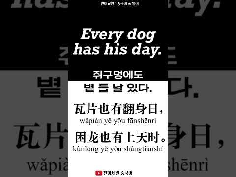 <strong>Every</strong> <strong>dog</strong> has his day. 언어교환 : 중국어 &amp;amp; 영어 숏츠