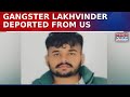 Fugitive Gangster Lakhvinder Deported from US, Big Win for Indian Agencies Against Bishnoi Gang