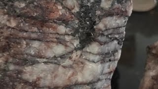 Gold Replacement 101 (Conclusion) The Invisible Ore Zone #MetasomaticGold #SilicificationZones
