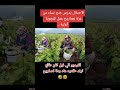 يلا امشو معنا على فلسطين يلا امشو معنا على فلسطين