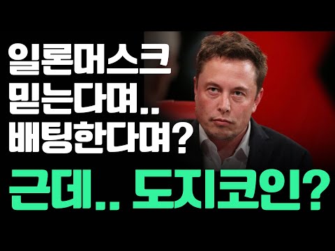   정신차려 이친구야 일론머스크는 테슬라CEO야