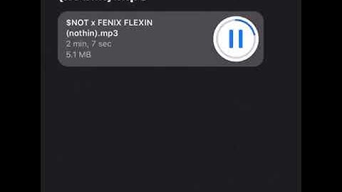 nothin ($not & Fenix Flexin unreleased)