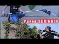 CHAIN SAW yang bisa di panjangin !! RONIX POLE SAW 8602