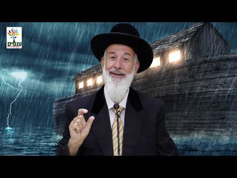פרשת נח - הרב יונה מצגר HD - חידוש מדהים!