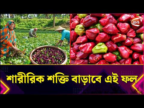 শারীরিক শক্তি বৃদ্ধি এবং সৌন্দর্য রক্ষায় কাজ করে পানিফল | Water Chestnut | healthtips | Lifestyle24