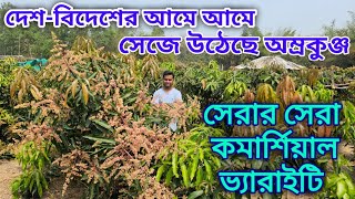 এই চারটি কমার্শিয়াল ভ্যারাইটির আম গাছ দিয়ে বাগান করুন ফলে ভরে যাবে আপনার বাগান