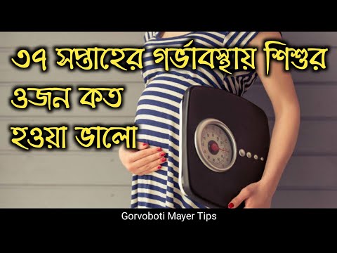 ভিডিও: স্কটিশ বিড়াল